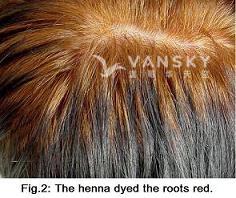 230120110308_Hair-Dying with henna-s.jpg